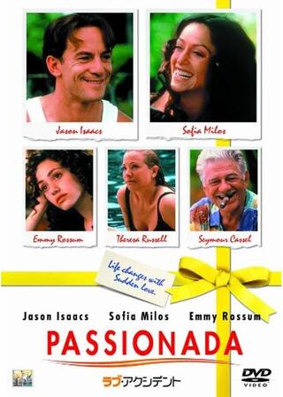 ラブ・アクシデントのポスター