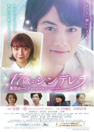 17歳のシンデレラのポスター