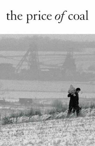 石炭の値打ち 第二部：現実との直面のポスター