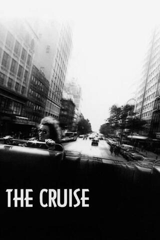 The Cruise（原題）のポスター