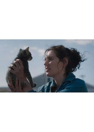 ソーリー、ベイビーのポスター