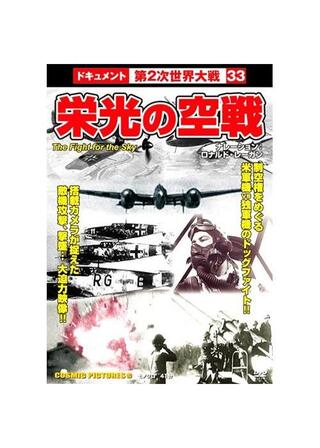 栄光の空戦のポスター