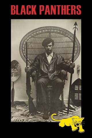 ブラックパンサーズのポスター