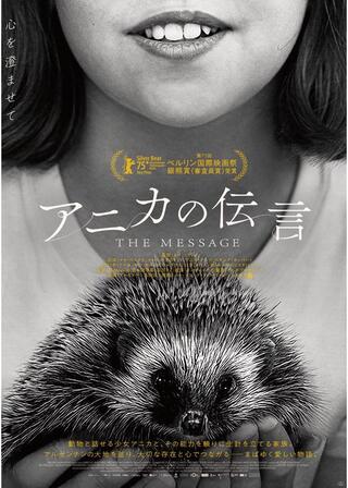 アニカの伝言のポスター