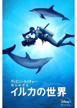 ディズニーネイチャー 知られざるイルカの世界のポスター
