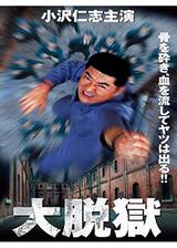 大脱獄のポスター