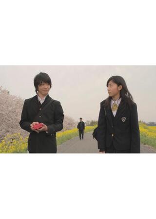 タマテバコのポスター