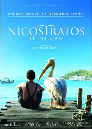 ペリカンのニコルのポスター
