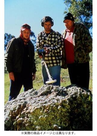 トレジャー・ハンター 一獲千金を狙え！のポスター