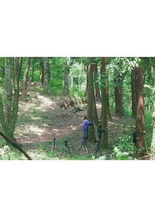 MY BIRDのポスター