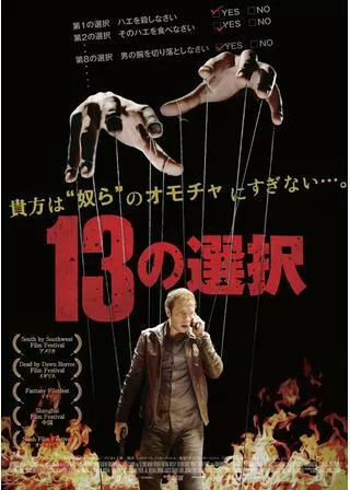 13の選択のポスター