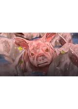 ⼝蹄疫から⽣きのびた豚のポスター