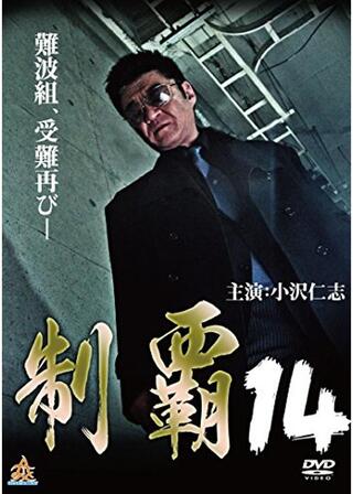 制覇14のポスター