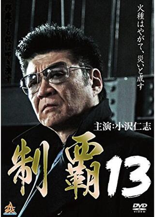 制覇13のポスター