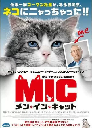 メン・イン・キャットのポスター