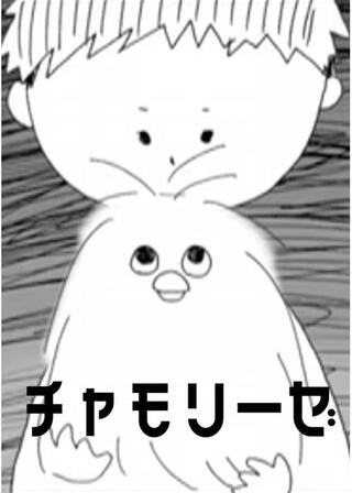 チャモリーゼのポスター