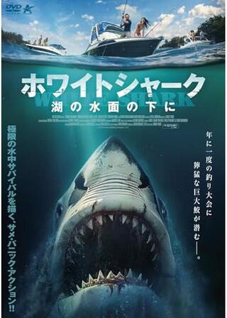 ホワイトシャーク 湖の水面の下にのポスター