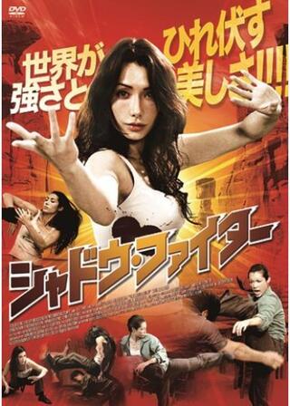 シャドウ・ファイターのポスター