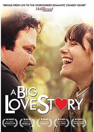 A Big Love Story（原題）のポスター