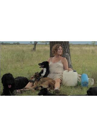 ドッグ・レディのポスター