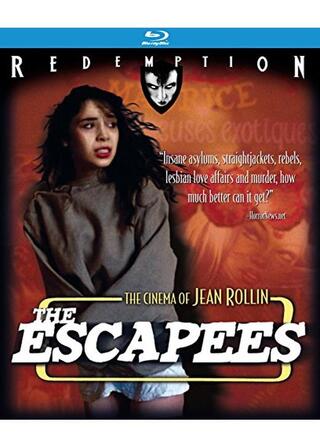 The Escapees（英題）のポスター