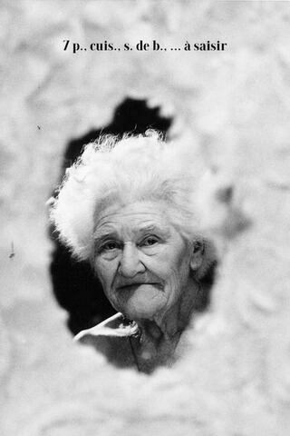 7p., cuis., s. de b., ... à saisir（原題）のポスター