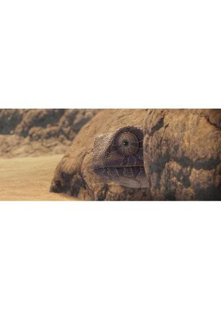 勝負無しのポスター