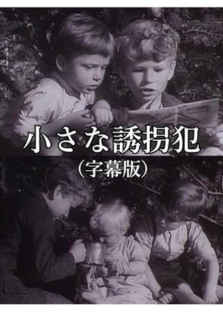 小さな誘拐犯のポスター