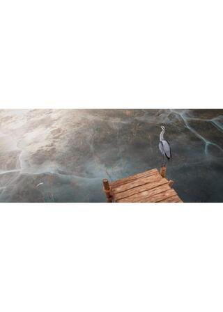 氷の下でのポスター