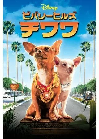 ビバリーヒルズ・チワワのポスター