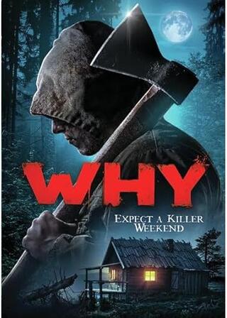 Why?（原題）のポスター