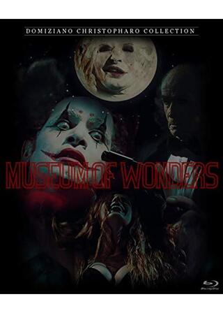 The Museum of Wonders（原題）のポスター