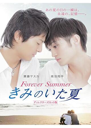 きみのいた夏 ディレクターズカット版のポスター