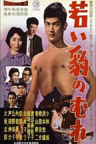 若い豹のむれのポスター