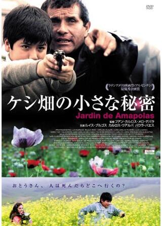 ケシ畑の小さな秘密のポスター