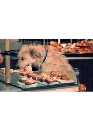 メドールの帝国のポスター