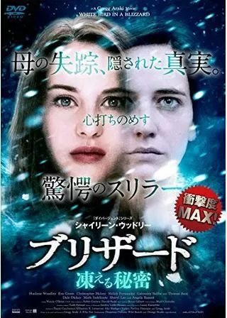 ブリザード 凍える秘密のポスター