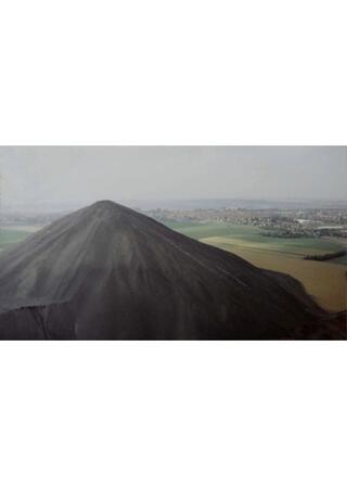 ウニの陰謀のポスター