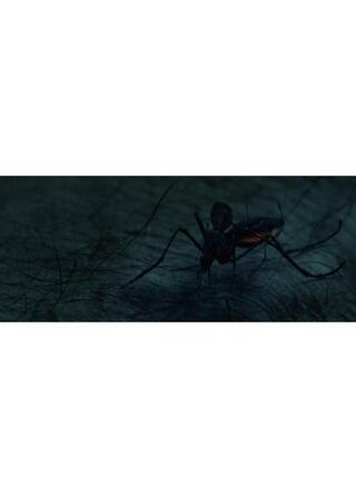 モスキートのポスター