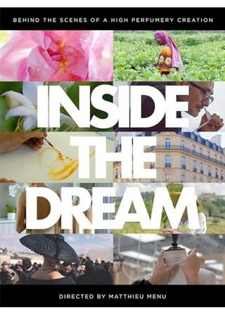 Inside the dream Diorのポスター