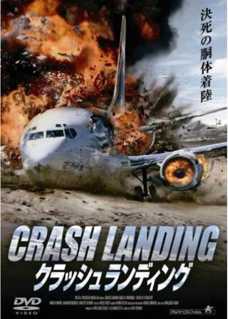 クラッシュランディングのポスター