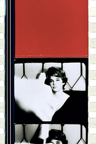 シュベカターのポスター