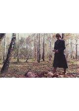 ⽇記 愛する⼈たちへのポスター