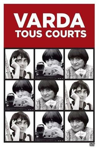 La cocotte d'azur（原題）のポスター