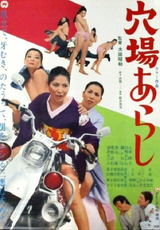 穴場あらしのポスター