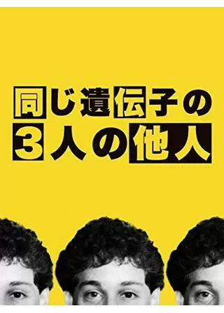 まったく同じ3人の他人/同じ遺伝子の3人の他人のポスター