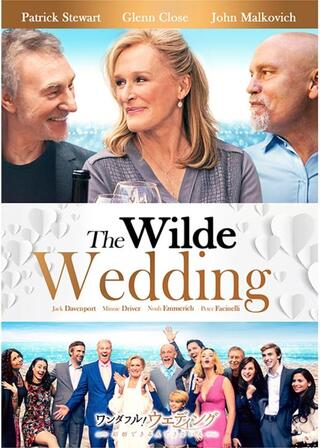 ワンダフル！ウエディング～結婚できる人できない人～ のポスター