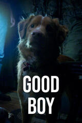 Good Boy（原題）のポスター