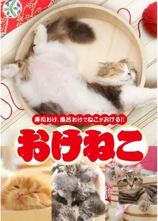 おけねこのポスター