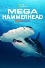 進化の奇跡：ハンマーヘッド・シャークのポスター